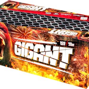 c10545gi c